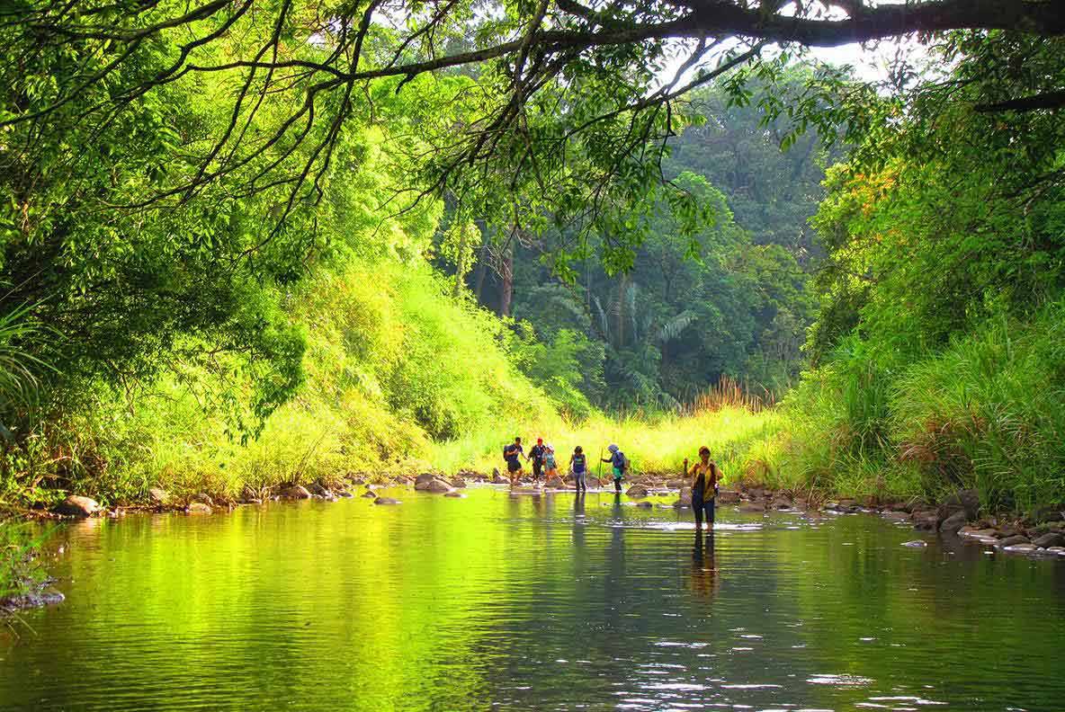 Hiking Trails Near Ho Chi Minh City